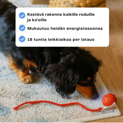 HappyPaws™ - CrazyChase Pro