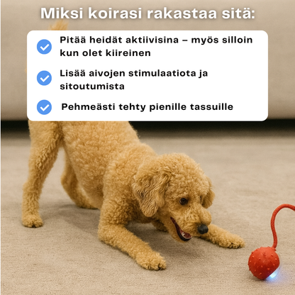 HappyPaws™ - CrazyChase Pro