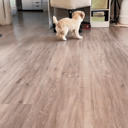 HappyPaws™ - CrazyChase Pro